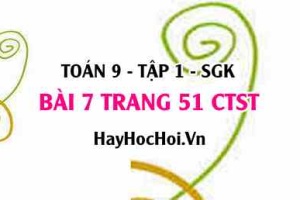Bài 7 trang 51Toán 9 tập 1 Chân trời sáng tạo